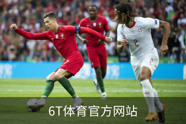 6T体育官方网站公司介绍图